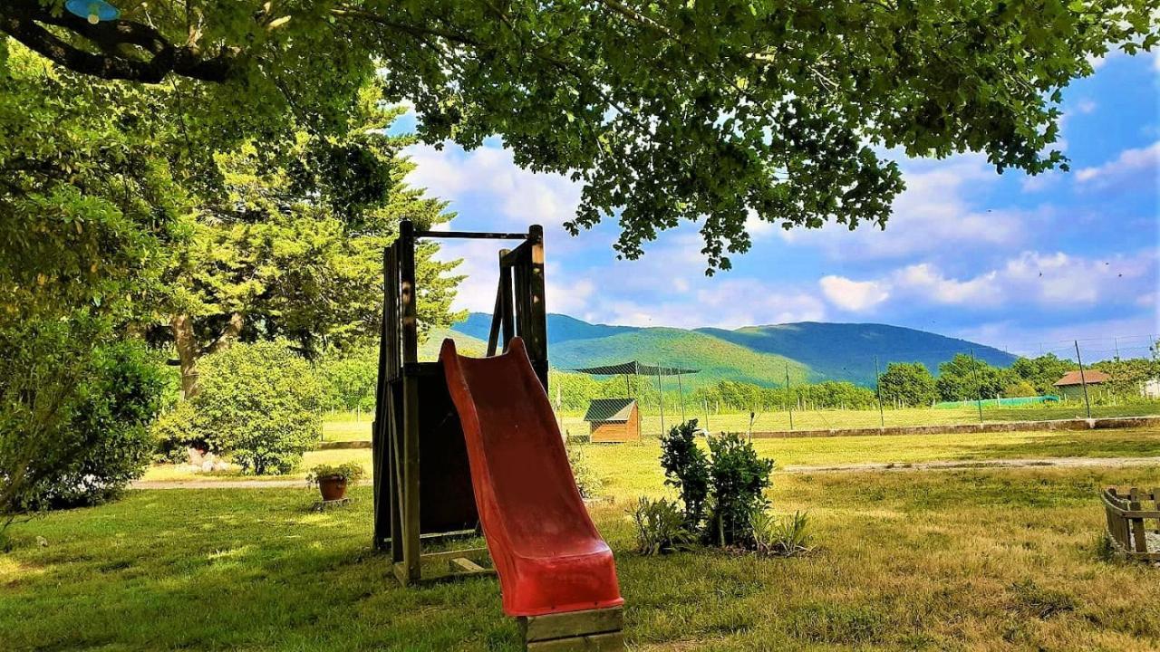 B&B Il Pizzagiallo Маса Мартана Екстериор снимка